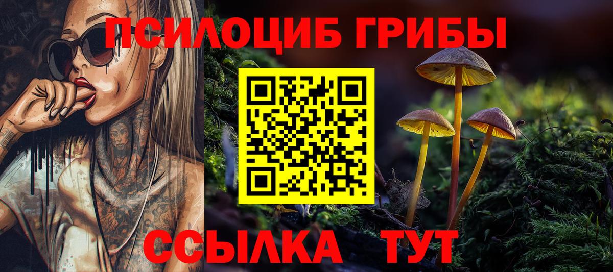 Псилоцибиновые грибы Psilocybine cubensis Нефтекумск