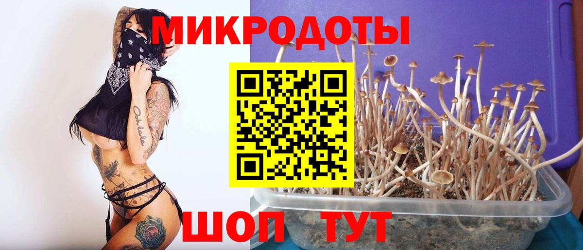 Нефтекумск  Псилоцибиновые грибы мицелий  Галлюциногенные грибы Psilocybe  Вход с VPN 